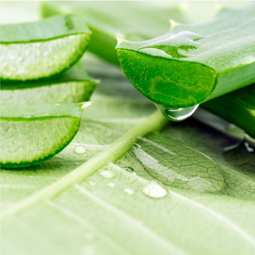 Fruit of the Earth Aloe Vera 100% Gel
